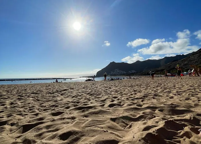 Panoramic Tabaiba *